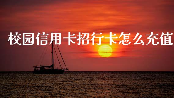 校园信用卡招行卡怎么充值_https://wap.sdxiaoxijinshu.com_金融_第1张