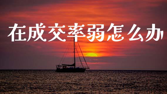 在成交率弱怎么办_https://wap.sdxiaoxijinshu.com_期货_第1张