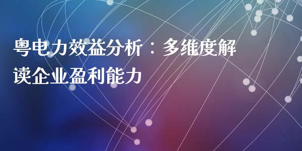 粤电力效益分析：多维度解读企业盈利能力_https://wap.sdxiaoxijinshu.com_理财_第1张