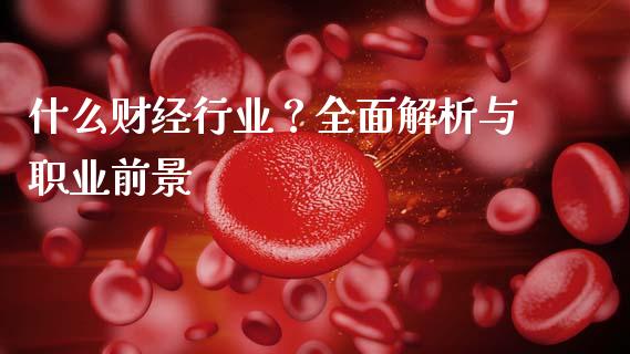 什么财经行业？全面解析与职业前景_https://wap.sdxiaoxijinshu.com_金融_第1张
