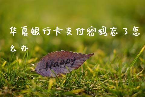 华夏银行卡支付密码忘了怎么办_https://wap.sdxiaoxijinshu.com_金融_第1张