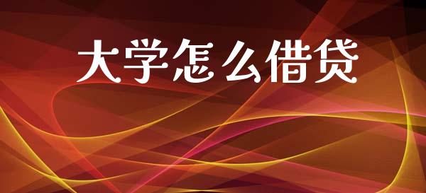 大学怎么借贷_https://wap.sdxiaoxijinshu.com_金融_第1张