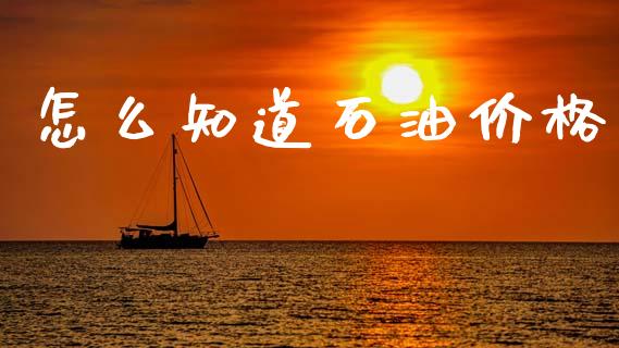 怎么知道石油价格_https://wap.sdxiaoxijinshu.com_期货_第1张