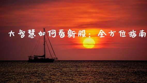 大智慧如何看新股：全方位指南_https://wap.sdxiaoxijinshu.com_期货_第1张