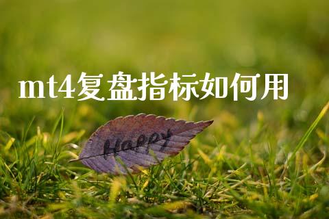 mt4复盘指标如何用_https://wap.sdxiaoxijinshu.com_财经_第1张