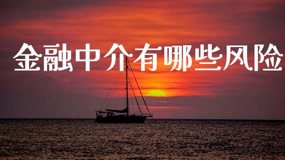 金融中介有哪些风险_https://wap.sdxiaoxijinshu.com_财经_第1张