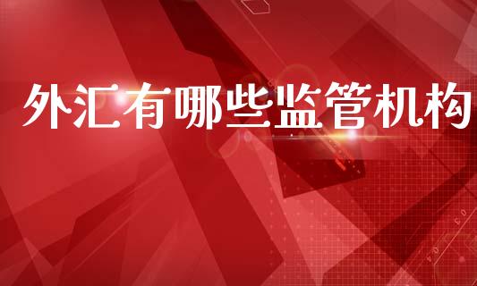 外汇有哪些监管机构_https://wap.sdxiaoxijinshu.com_财经_第1张