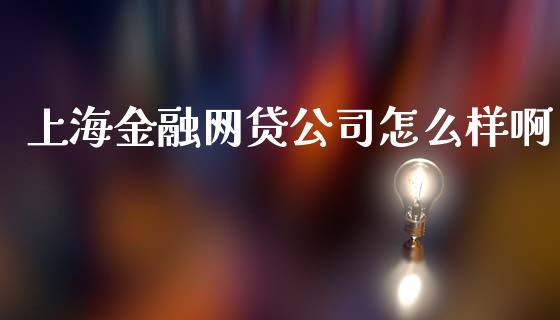 上海金融网贷公司怎么样啊_https://wap.sdxiaoxijinshu.com_理财_第1张