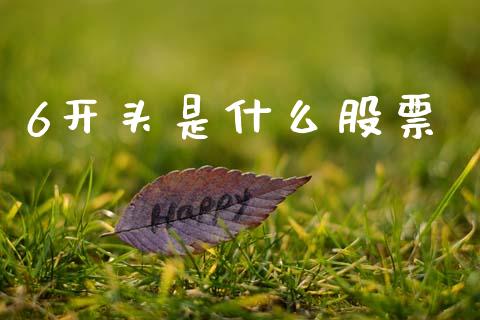6开头是什么股票_https://wap.sdxiaoxijinshu.com_期货_第1张