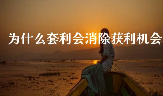 为什么套利会消除获利机会_https://wap.sdxiaoxijinshu.com_期货_第1张