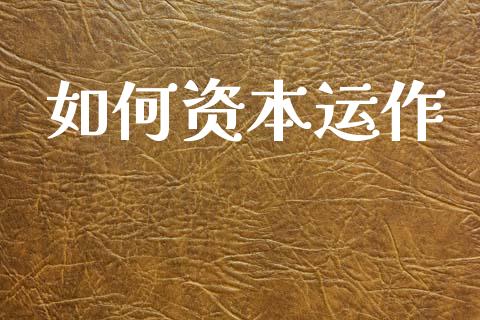 如何资本运作_https://wap.sdxiaoxijinshu.com_理财_第1张