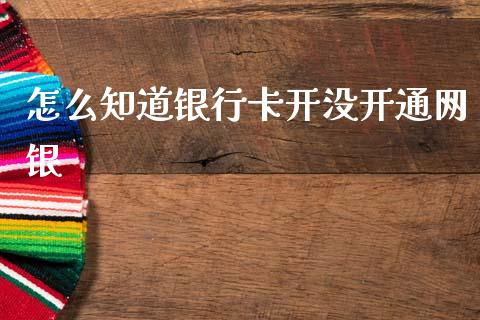 怎么知道银行卡开没开通网银_https://wap.sdxiaoxijinshu.com_金融_第1张
