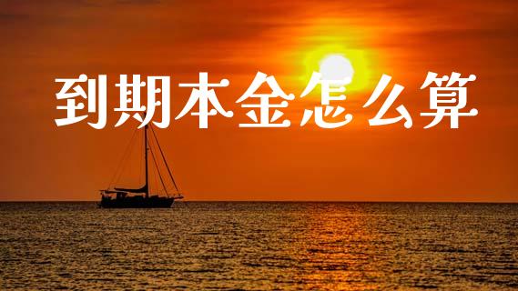 到期本金怎么算_https://wap.sdxiaoxijinshu.com_理财_第1张