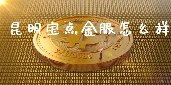 昆明宝点金服怎么样_https://wap.sdxiaoxijinshu.com_理财_第1张