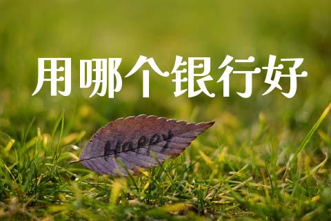 用哪个银行好_https://wap.sdxiaoxijinshu.com_财经_第1张