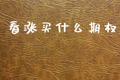 看涨买什么期权_https://wap.sdxiaoxijinshu.com_理财_第1张