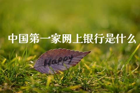 中国第一家网上银行是什么_https://wap.sdxiaoxijinshu.com_金融_第1张