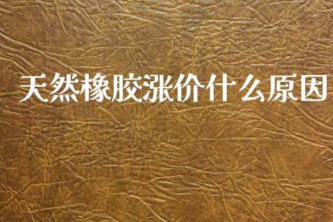 天然橡胶涨价什么原因_https://wap.sdxiaoxijinshu.com_期货_第1张