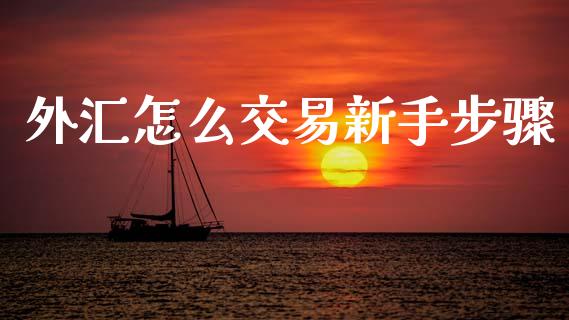 外汇怎么交易新手步骤_https://wap.sdxiaoxijinshu.com_财经_第1张