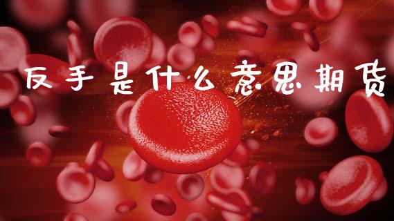 反手是什么意思期货_https://wap.sdxiaoxijinshu.com_期货_第1张