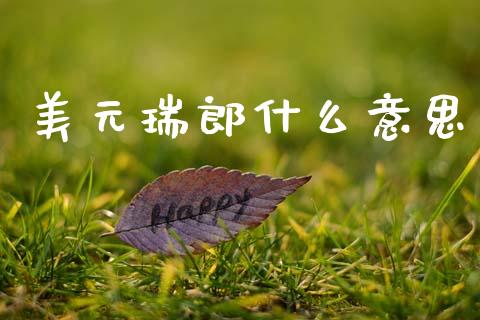 美元瑞郎什么意思_https://wap.sdxiaoxijinshu.com_财经_第1张