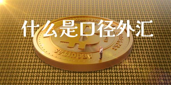什么是口径外汇_https://wap.sdxiaoxijinshu.com_理财_第1张