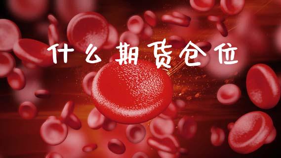 什么期货仓位_https://wap.sdxiaoxijinshu.com_期货_第1张