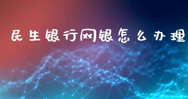 民生银行网银怎么办理_https://wap.sdxiaoxijinshu.com_金融_第1张