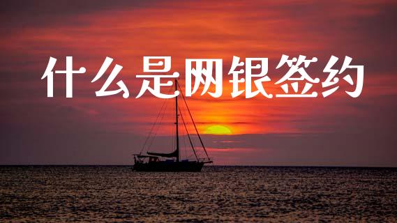 什么是网银签约_https://wap.sdxiaoxijinshu.com_金融_第1张