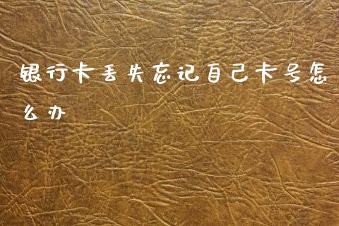 银行卡丢失忘记自己卡号怎么办_https://wap.sdxiaoxijinshu.com_金融_第1张
