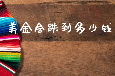 美金会跌到多少钱_https://wap.sdxiaoxijinshu.com_理财_第1张