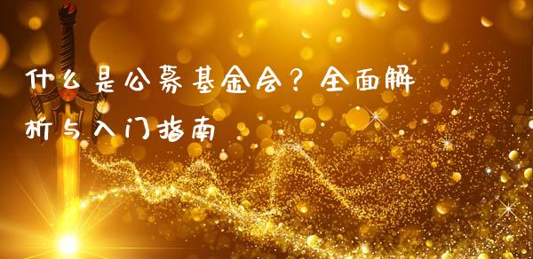 什么是公募基金会？全面解析与入门指南_https://wap.sdxiaoxijinshu.com_期货_第1张