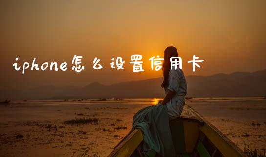 iphone怎么设置信用卡_https://wap.sdxiaoxijinshu.com_财经_第1张