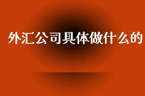 外汇公司具体做什么的_https://wap.sdxiaoxijinshu.com_金融_第1张