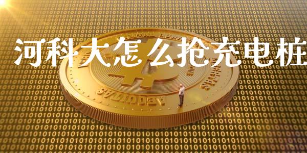 河科大怎么抢充电桩_https://wap.sdxiaoxijinshu.com_期货_第1张