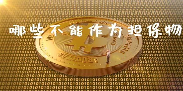 哪些不能作为担保物_https://wap.sdxiaoxijinshu.com_金融_第1张