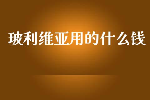 玻利维亚用的什么钱_https://wap.sdxiaoxijinshu.com_金融_第1张