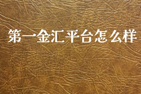 第一金汇平台怎么样_https://wap.sdxiaoxijinshu.com_金融_第1张