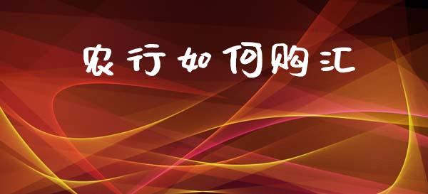 农行如何购汇_https://wap.sdxiaoxijinshu.com_财经_第1张