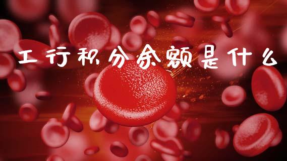 工行积分余额是什么_https://wap.sdxiaoxijinshu.com_金融_第1张