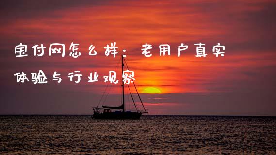 宝付网怎么样：老用户真实体验与行业观察_https://wap.sdxiaoxijinshu.com_金融_第1张