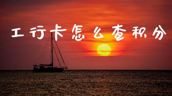 工行卡怎么查积分_https://wap.sdxiaoxijinshu.com_理财_第1张