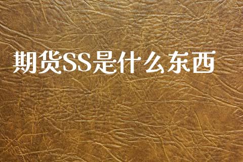 期货SS是什么东西_https://wap.sdxiaoxijinshu.com_期货_第1张
