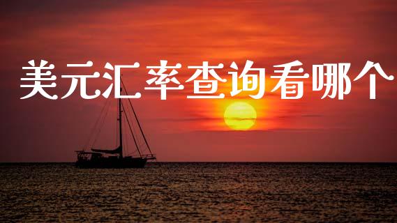 美元汇率查询看哪个_https://wap.sdxiaoxijinshu.com_财经_第1张