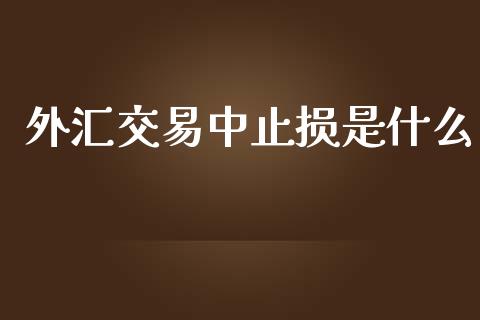 外汇交易中止损是什么_https://wap.sdxiaoxijinshu.com_财经_第1张