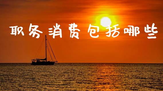 职务消费包括哪些_https://wap.sdxiaoxijinshu.com_财经_第1张