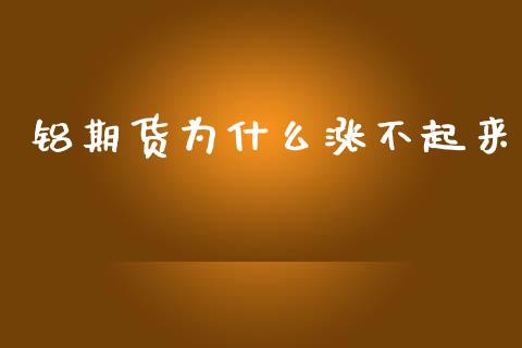 铝期货为什么涨不起来_https://wap.sdxiaoxijinshu.com_期货_第1张