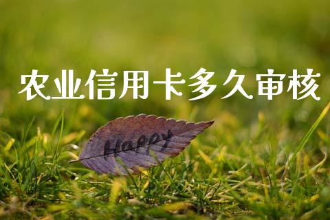 农业信用卡多久审核_https://wap.sdxiaoxijinshu.com_理财_第1张