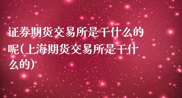 证券期货交易所是干什么的呢(上海期货交易所是干什么的)_https://wap.sdxiaoxijinshu.com_财经_第1张