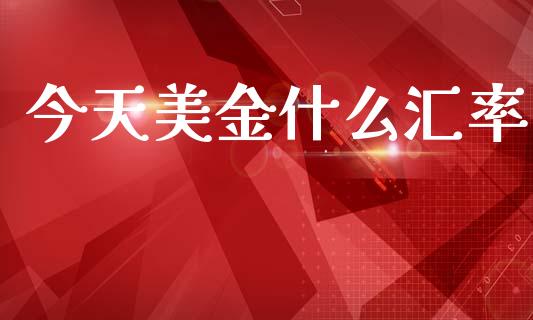 今天美金什么汇率_https://wap.sdxiaoxijinshu.com_财经_第1张